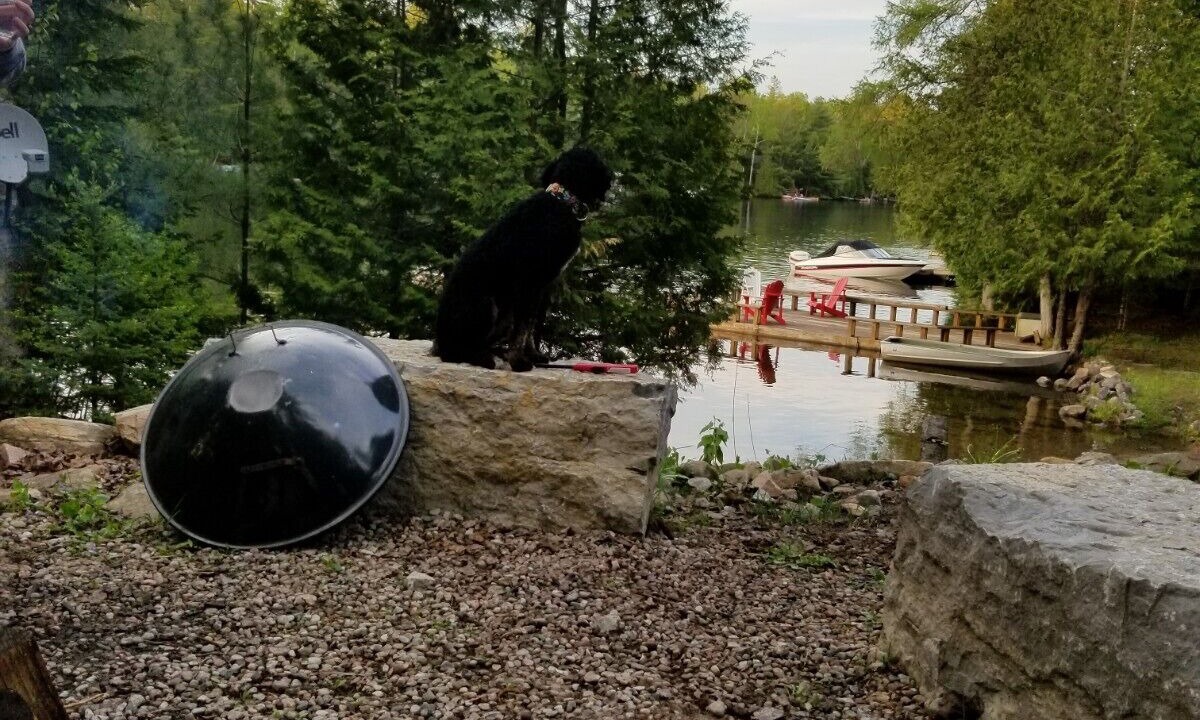 Photo of Outdoor in Gooderham