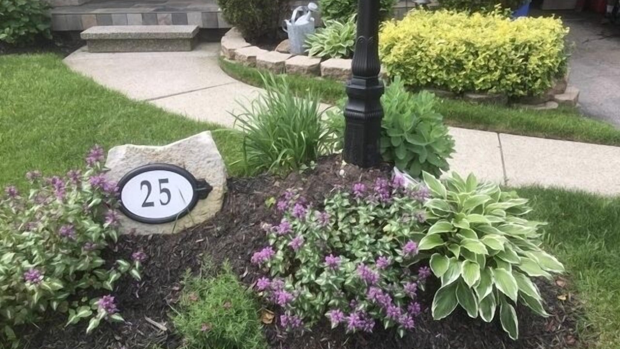 Photo of Outdoor in White Oaks
