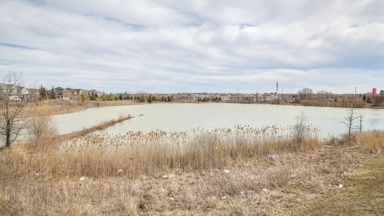 Photo of Outdoor in Bradford