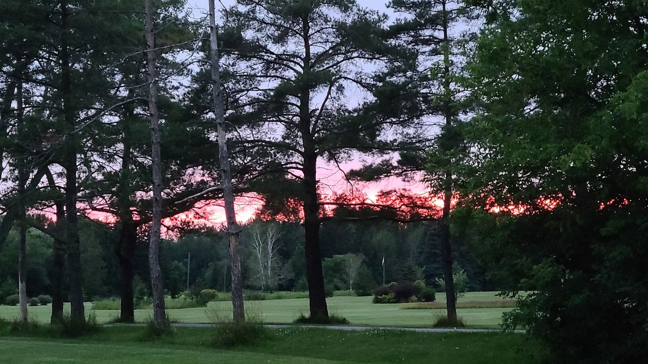 Photo of Others in Whitchurch-Stouffville