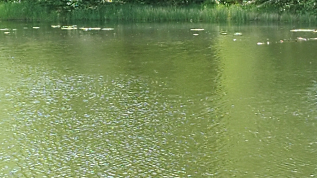Photo of Outdoor in Carlton County