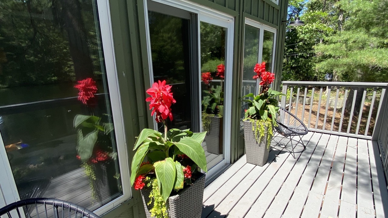 Photo of Outdoor in Selwyn