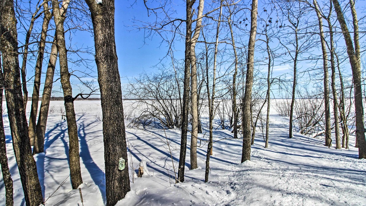 Photo of Outdoor in Remer