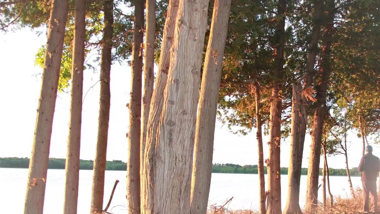 Photo of Outdoor in South Bruce Peninsula