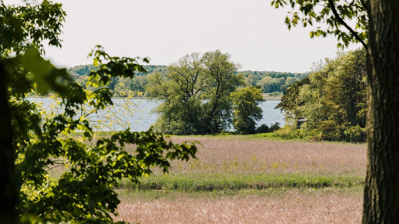 Photo of Outdoor in Cherry Valley
