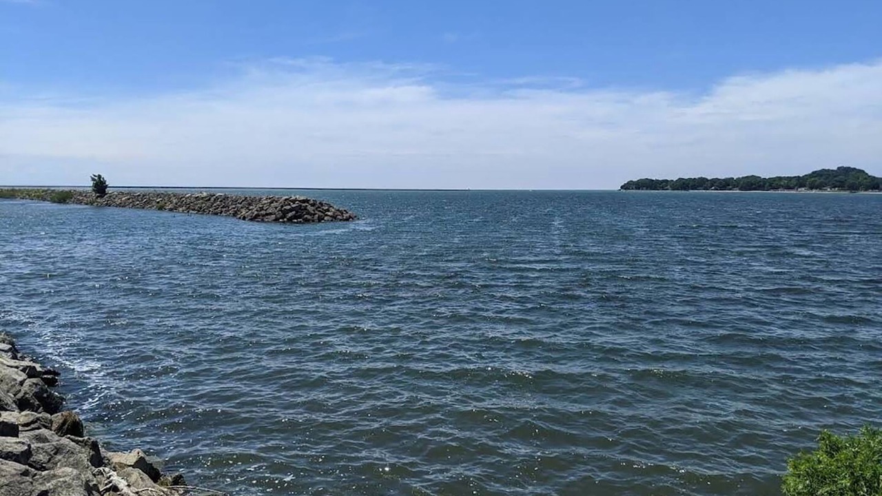 Photo of Others in Port Colborne