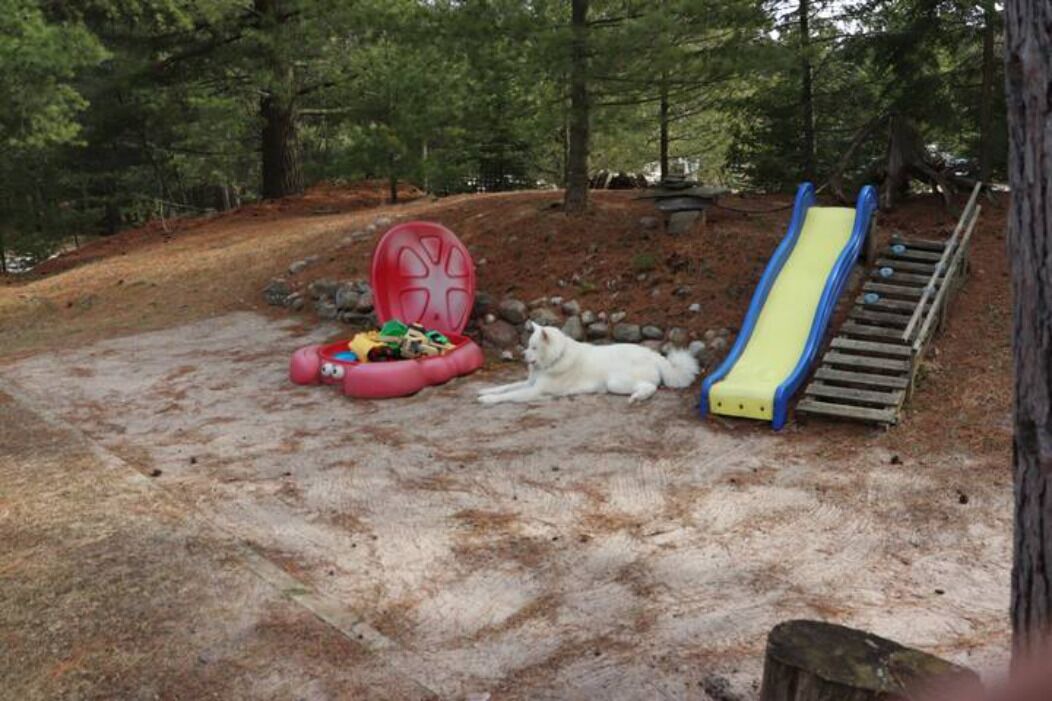 Photo of Outdoor in Tiny