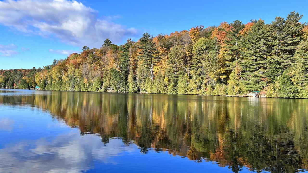 Photo of Others in North Frontenac
