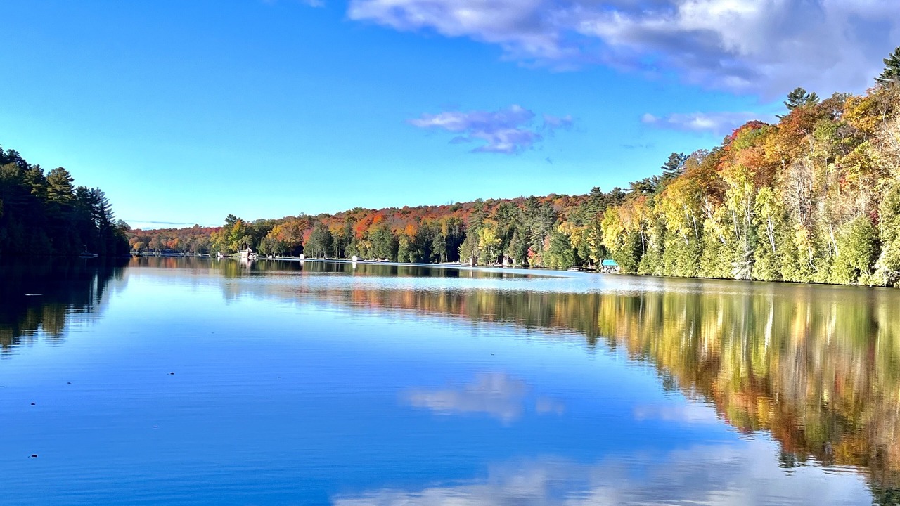Photo of Others in North Frontenac