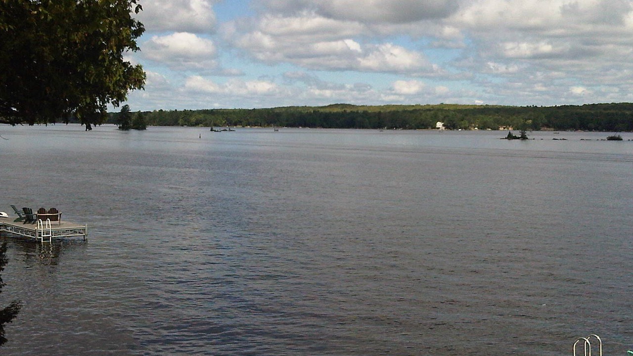Photo of Others in Selwyn