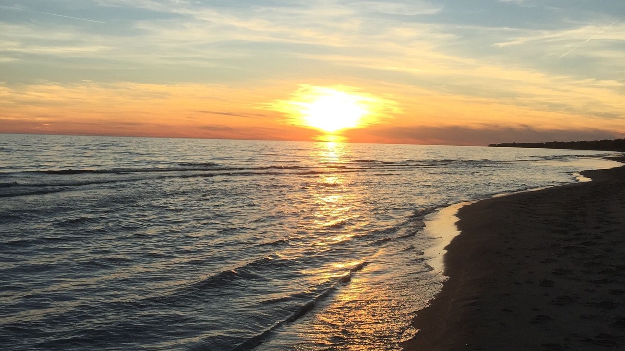 Photo of Others in Long Point