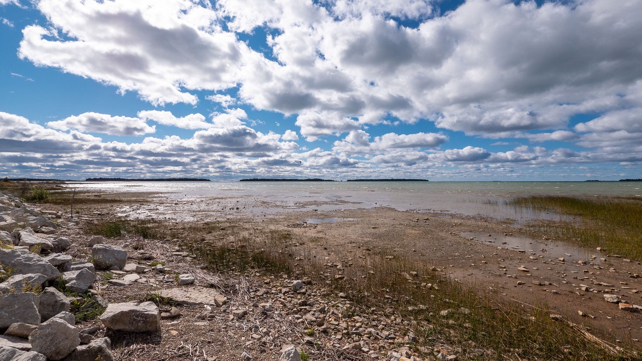 Photo of Others in South Bruce Peninsula