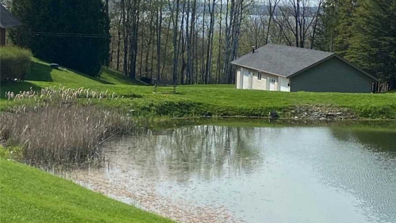 Photo of Outdoor in Meaford