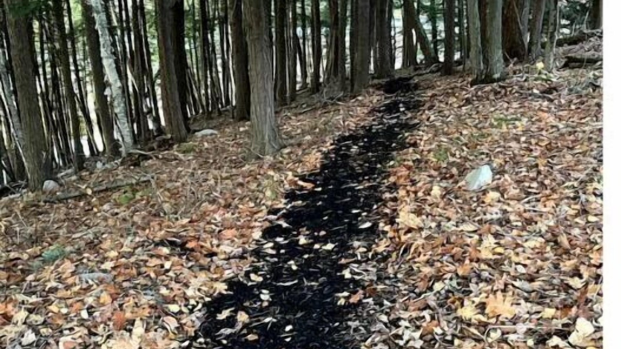Photo of Outdoor in Algoma District