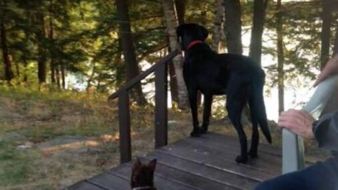Photo of Others in Algoma District