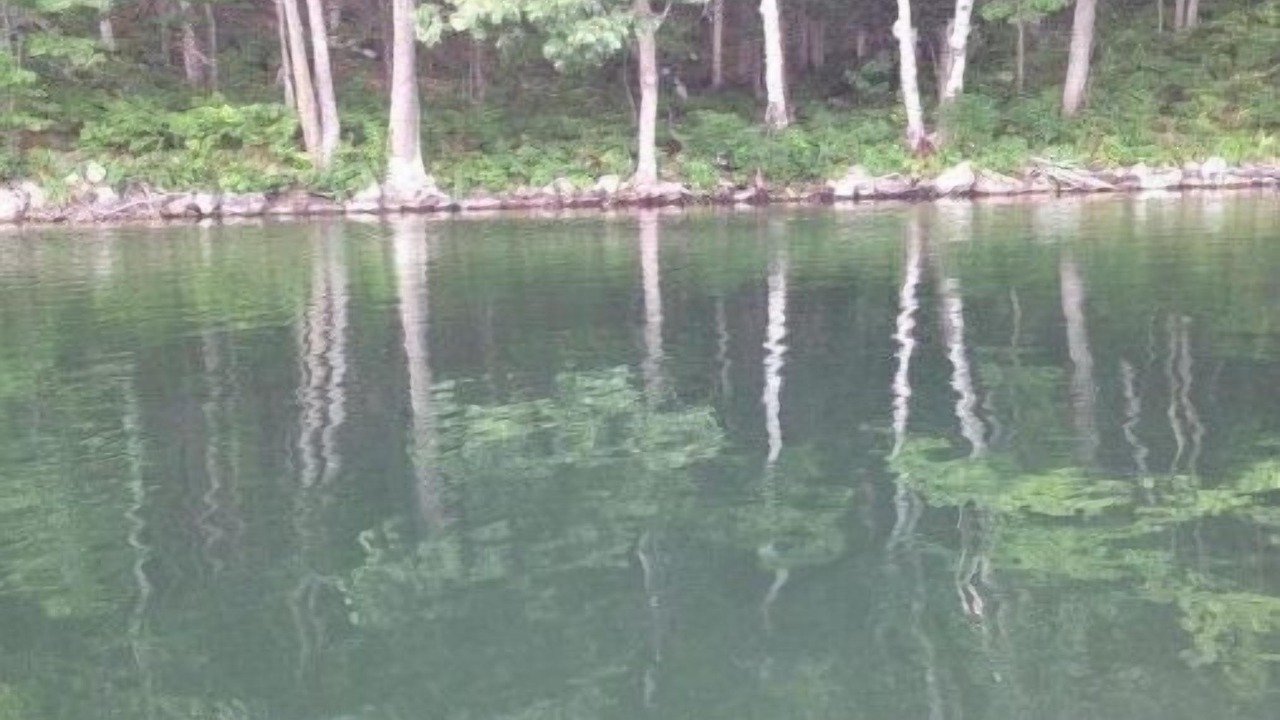 Photo of Outdoor in Algoma District