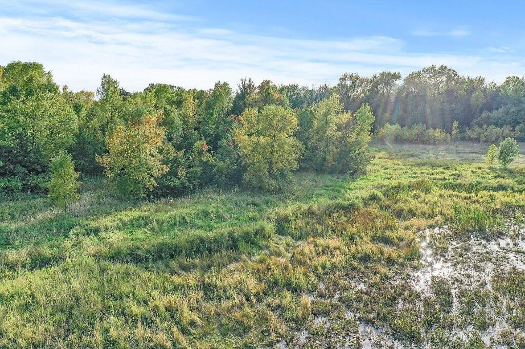 Photo of Outdoor in Buffalo