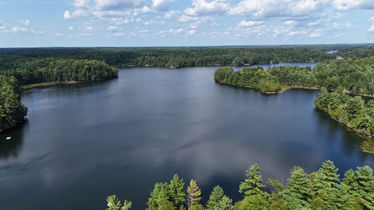 Photo of Others in Frontenac