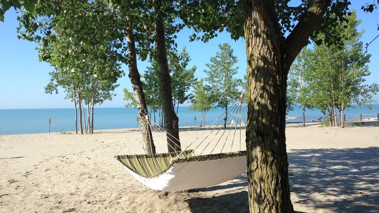 Photo of Others in Long Point