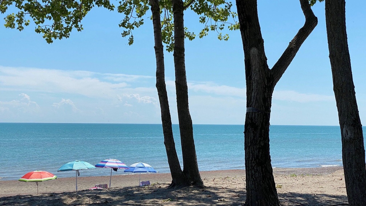 Photo of Others in Long Point