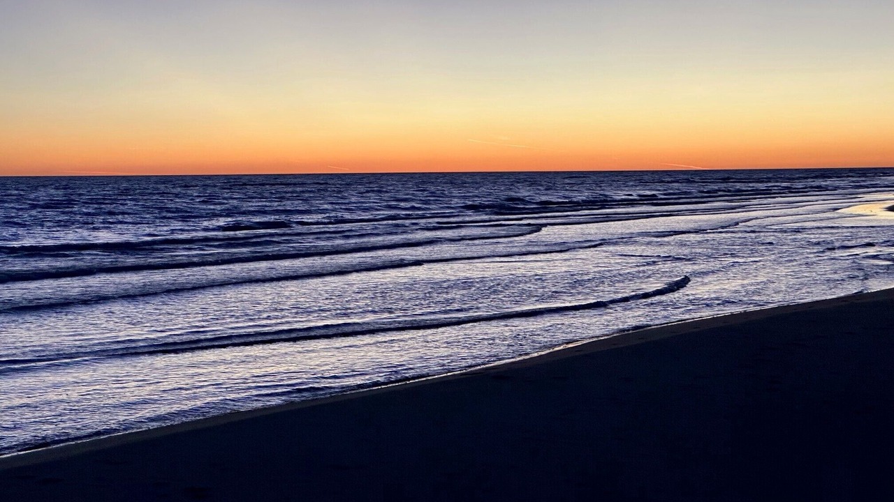 Photo of Others in Long Point