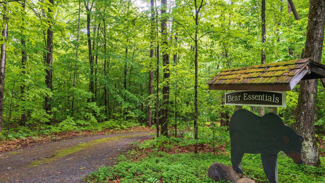 Photo of Outdoor in Huntsville