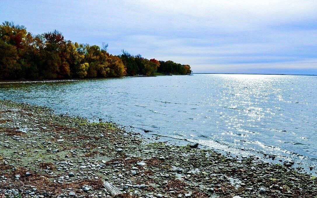 Photo of Others in Brock