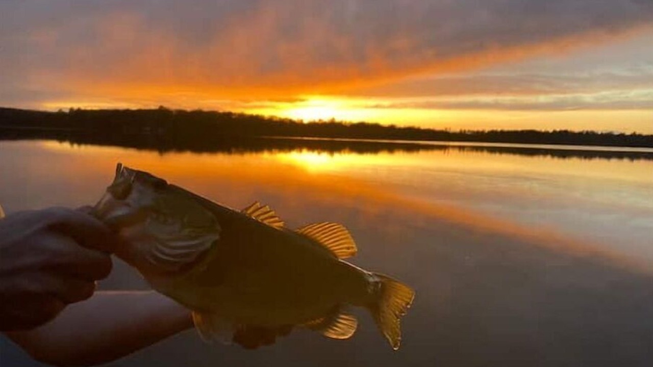 Photo of Outdoor in Crosslake