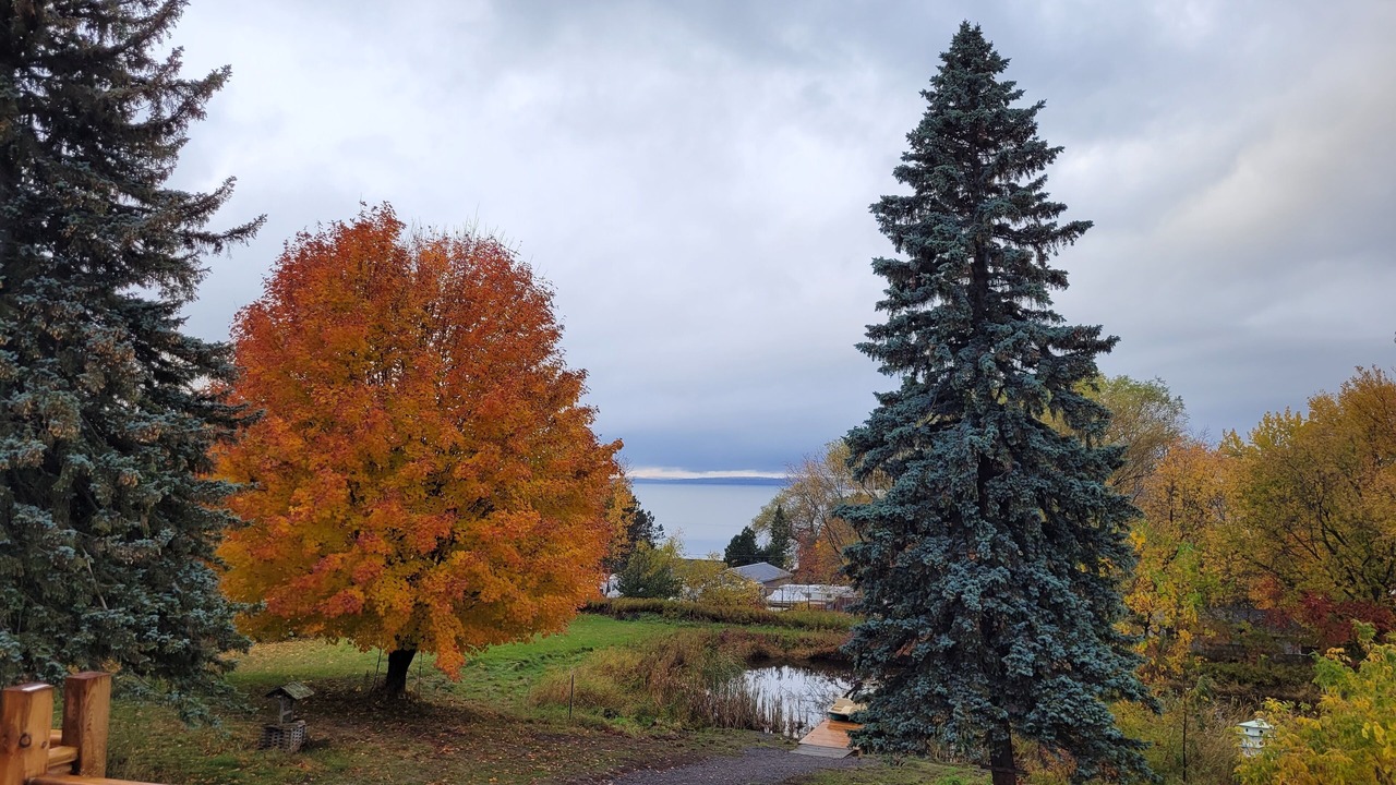 Photo of Outdoor in Roseneath