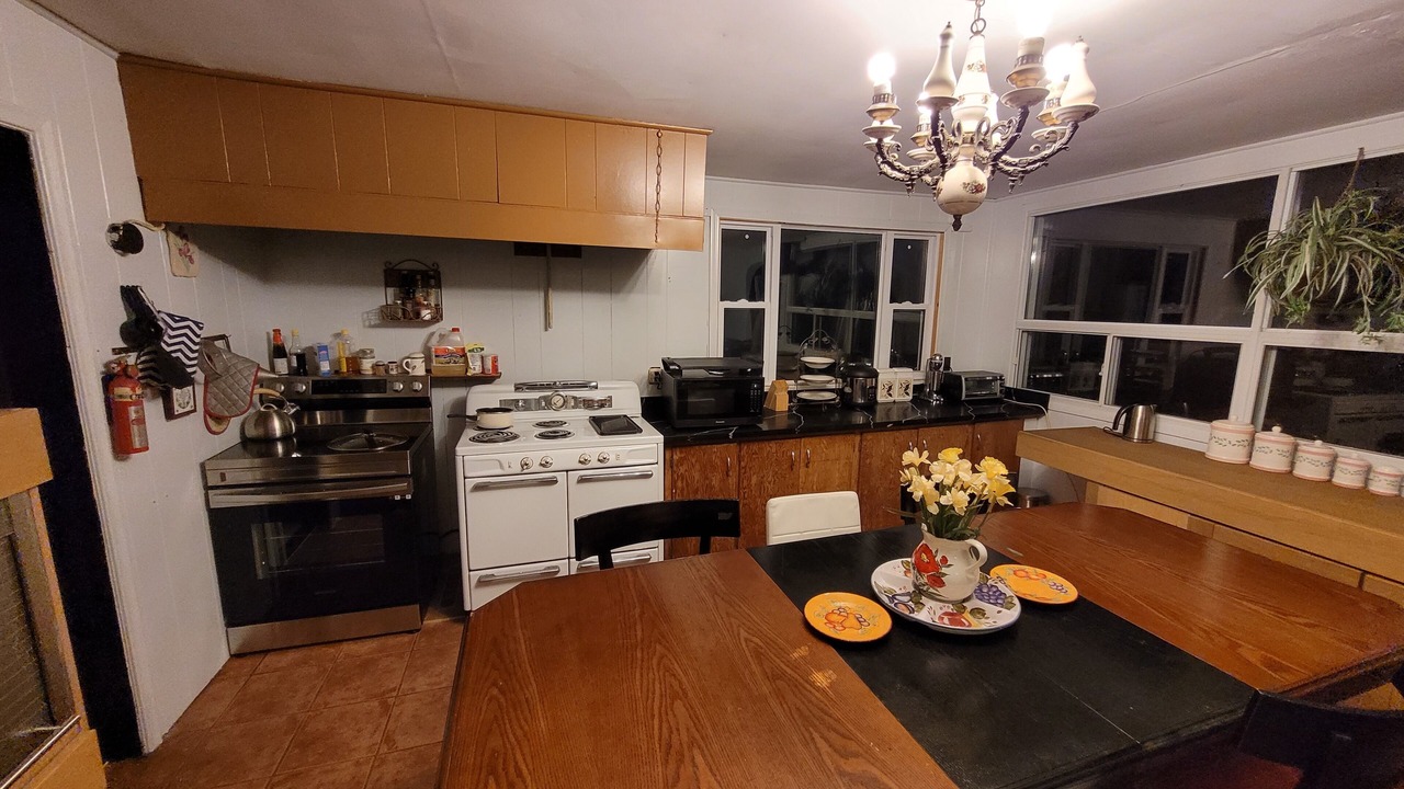 Photo of Kitchen in Roseneath