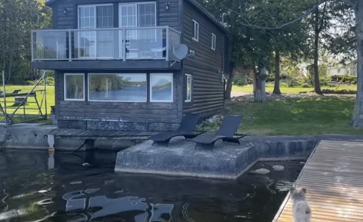 Photo of Others in Fenelon Falls