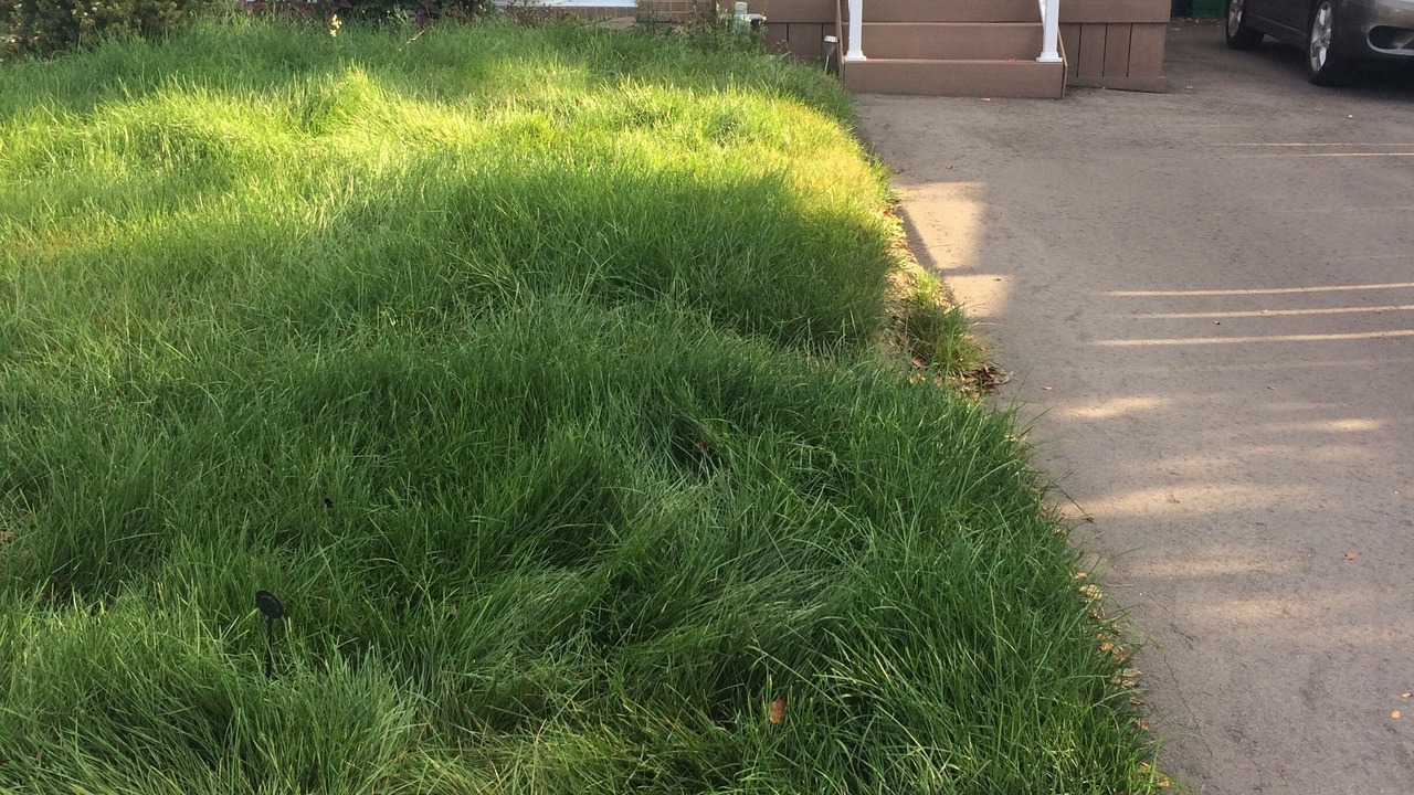 Photo of Outdoor in Clarkson-Lorne Park
