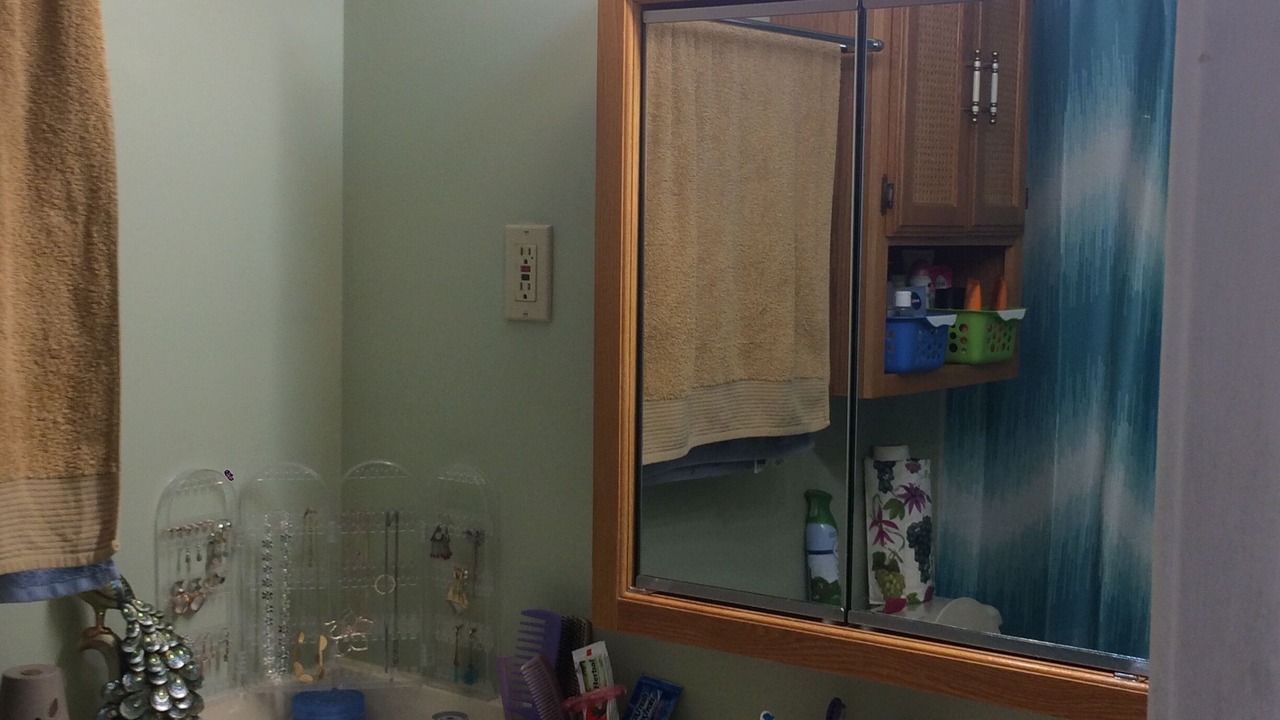 Photo of Bathroom in Clarkson-Lorne Park