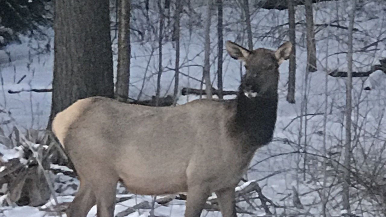 Photo of Others in Clarington
