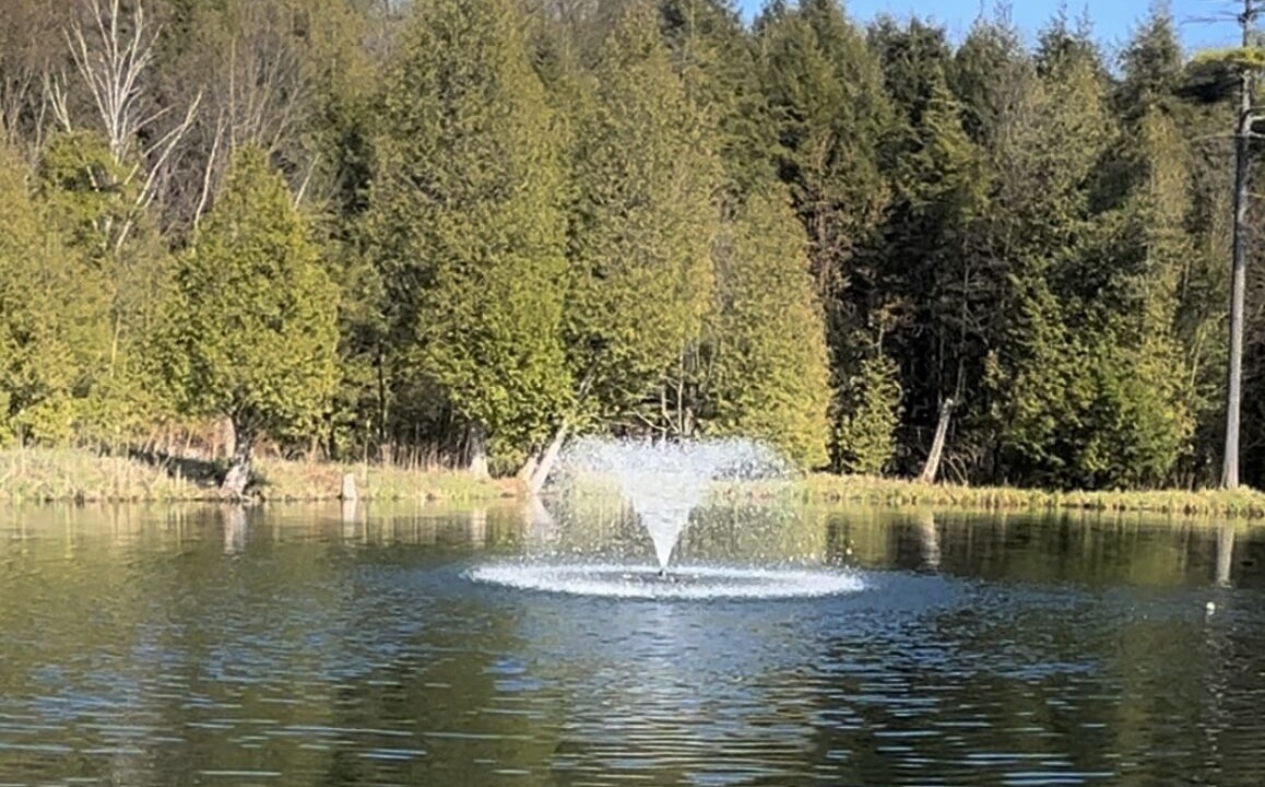 Photo of Outdoor in Clarington