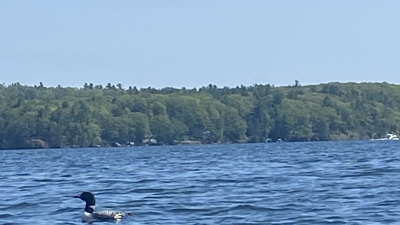 Photo of Others in Rideau Lakes