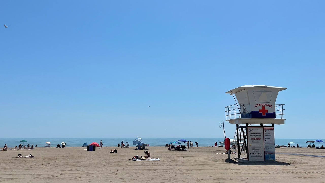 Photo of Others in Port Stanley