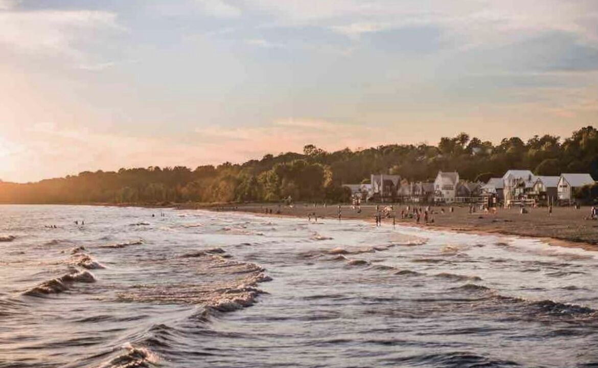 Photo of Others in Port Stanley