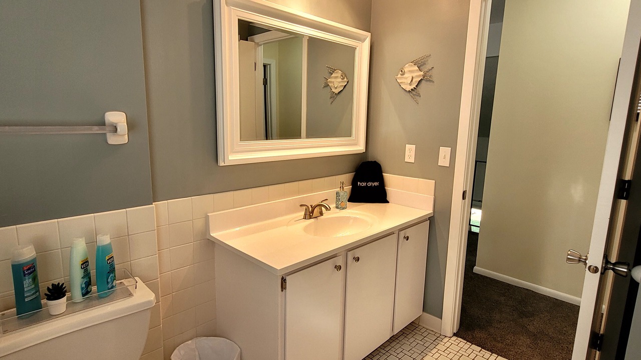 Photo of Bathroom in Excelsior