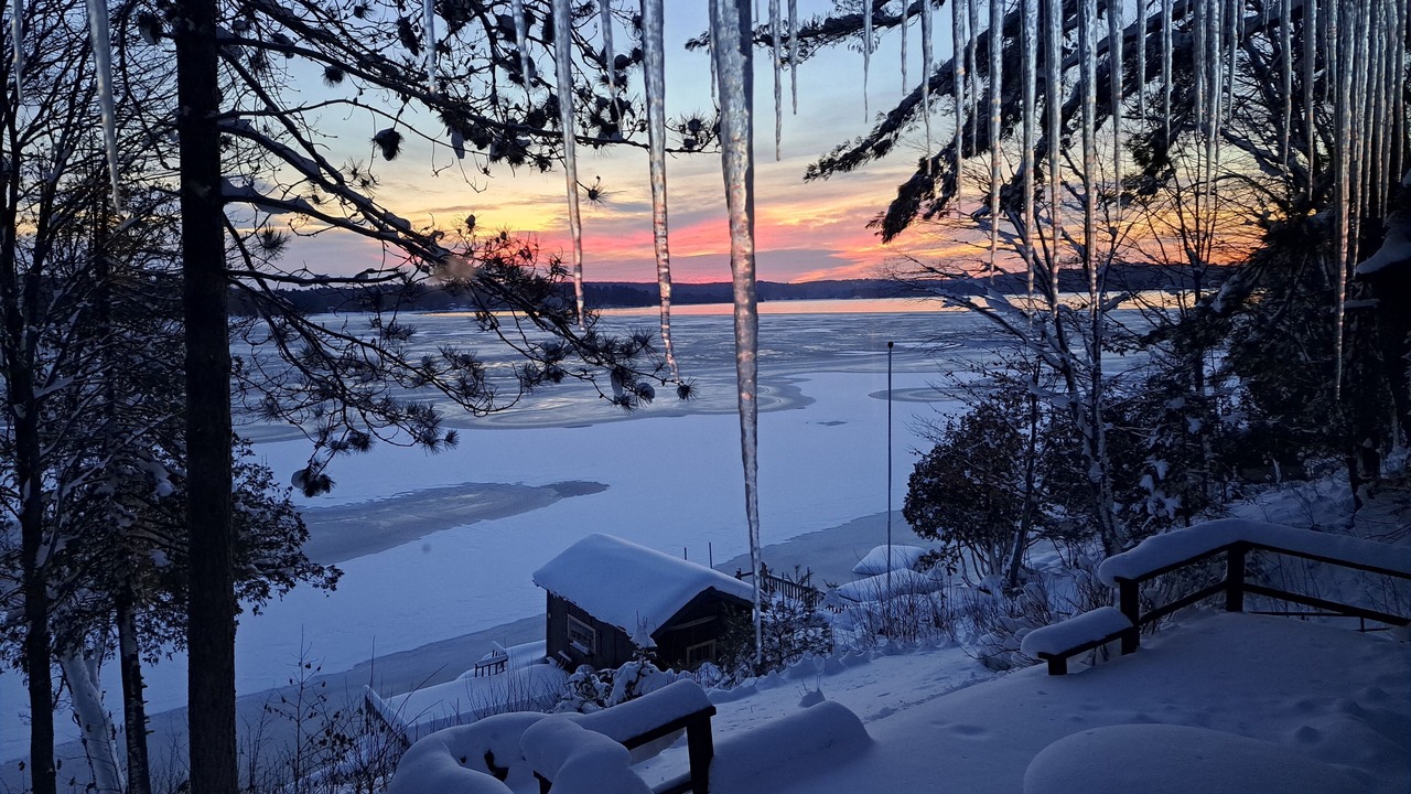 Photo of Outdoor in Algonquin Highlands