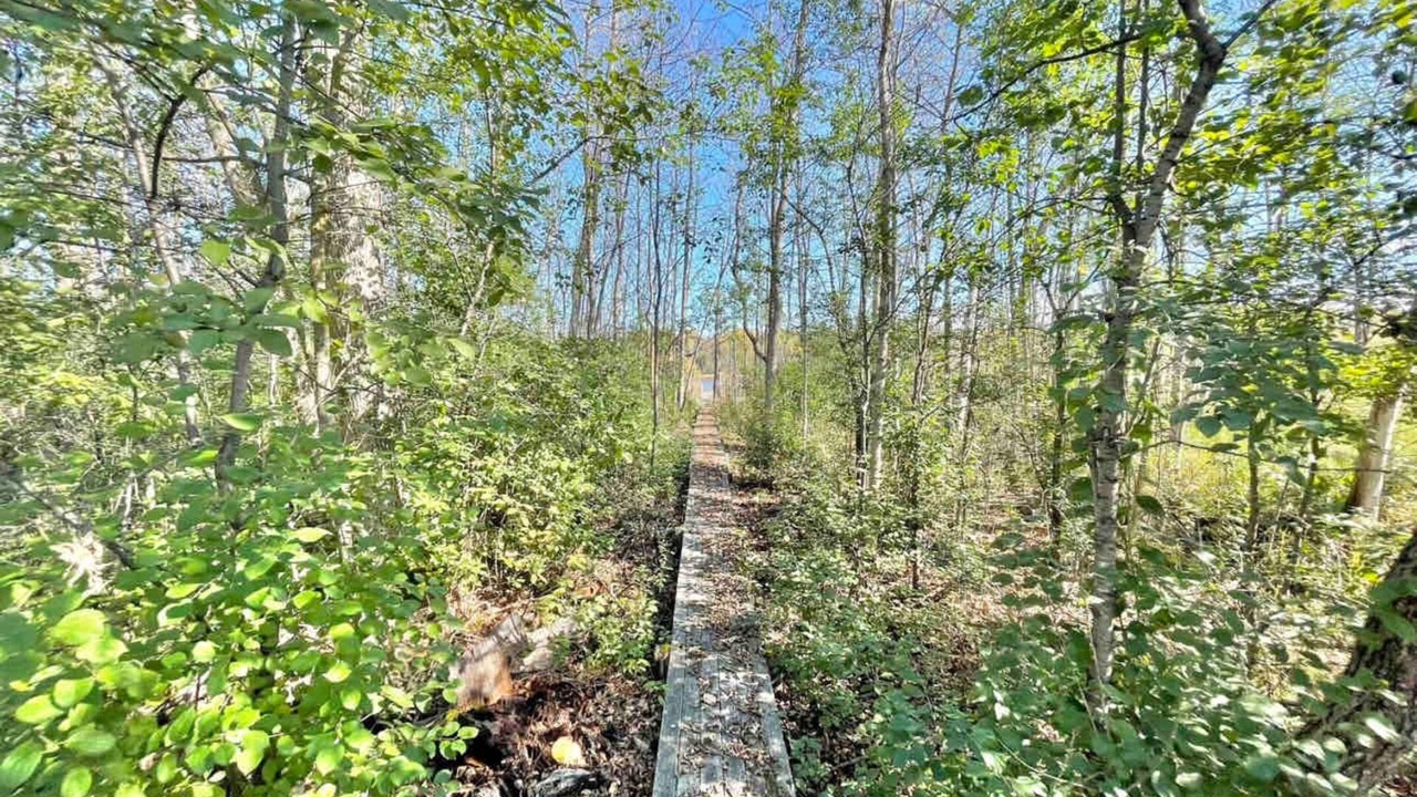 Photo of Outdoor in Hill City