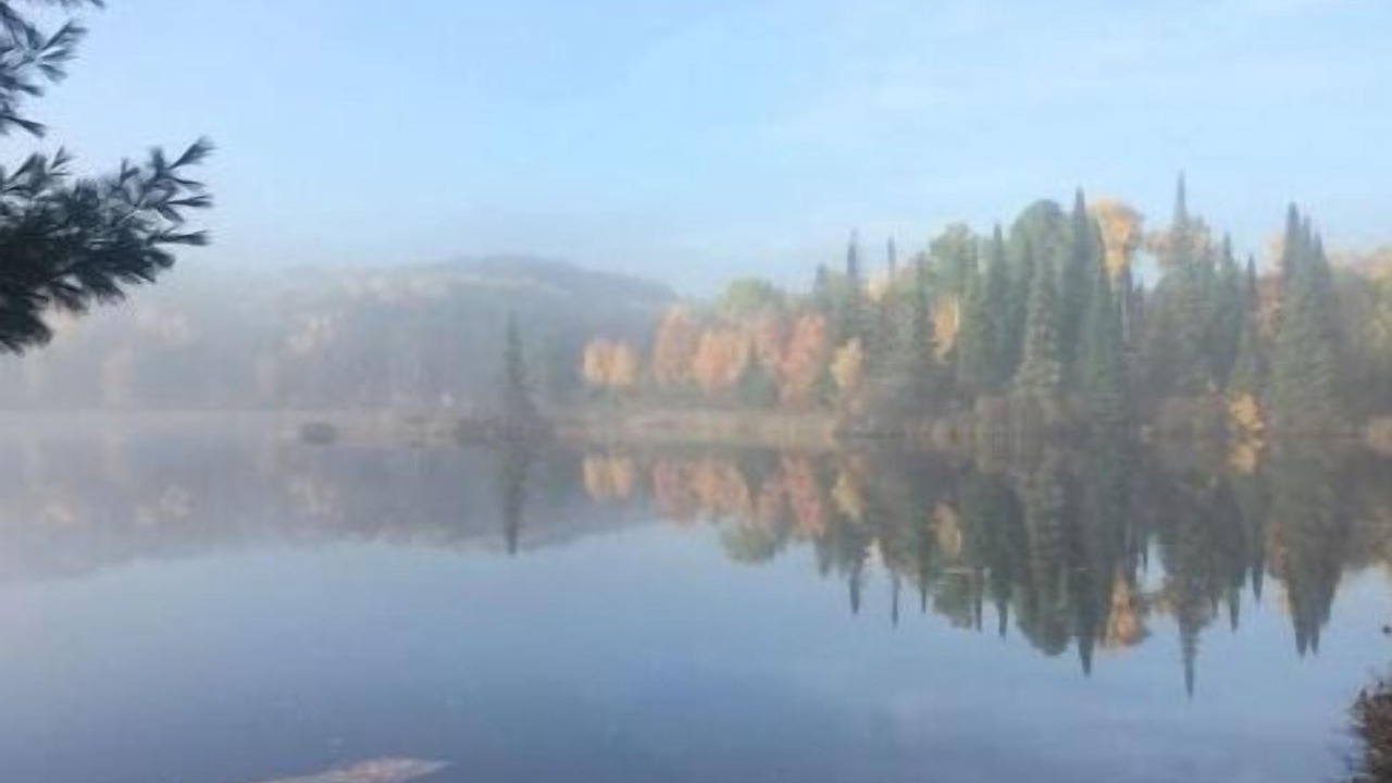 Photo of Others in South Algonquin