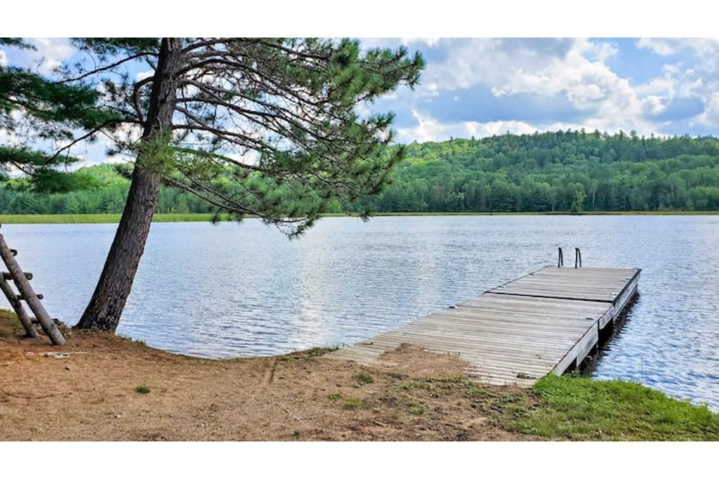 Photo of Others in South Algonquin