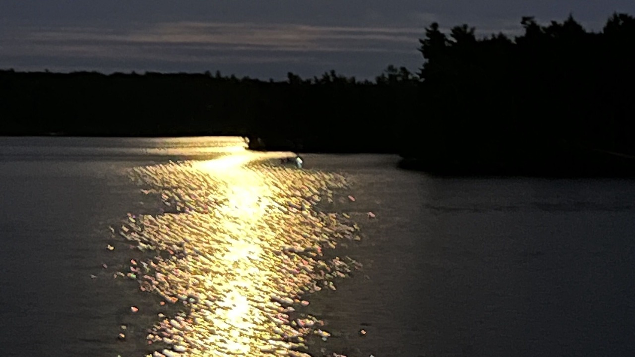Photo of Others in Rideau Lakes