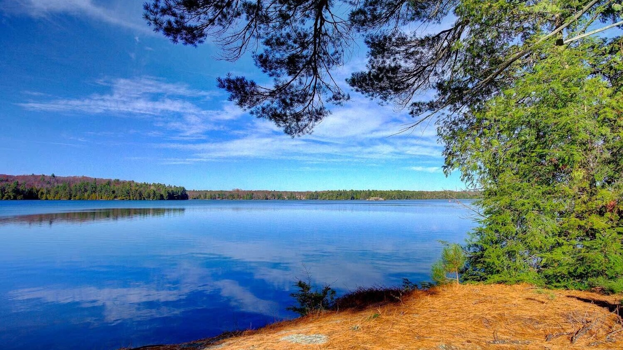 Photo of Others in North Frontenac