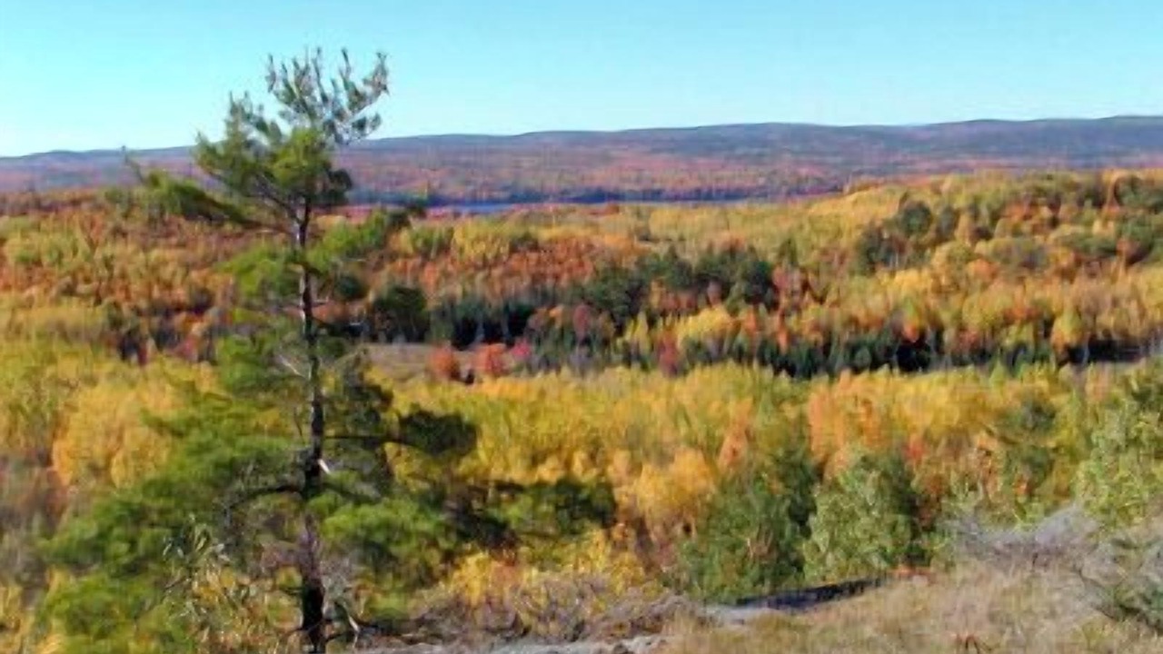 Photo of Others in Lanark Highlands