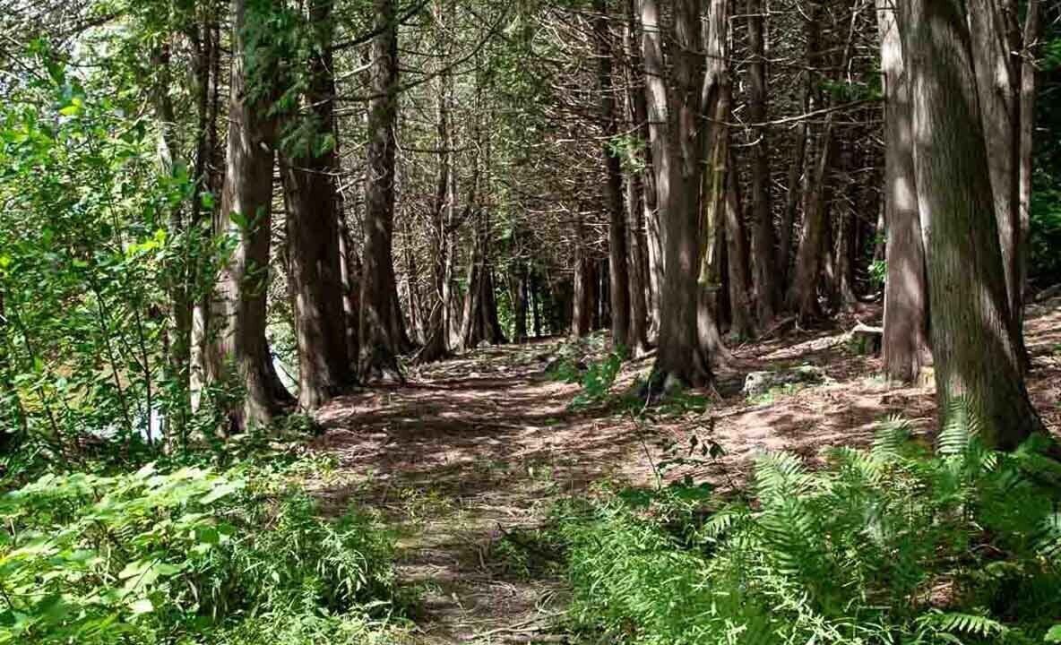 Photo of Others in Chesley