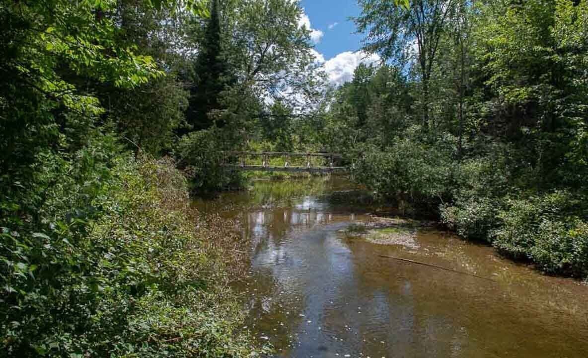 Photo of Others in Chesley