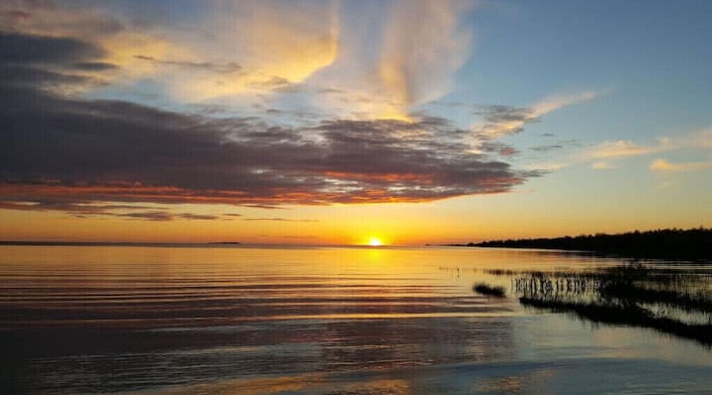 Photo of Others in Red Bay