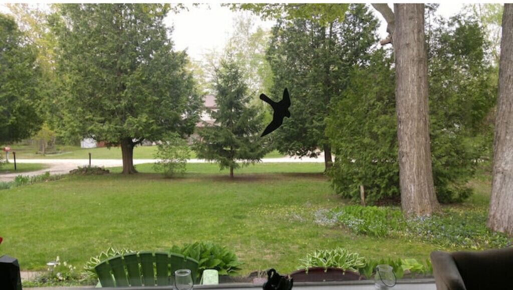 Photo of Outdoor in Red Bay